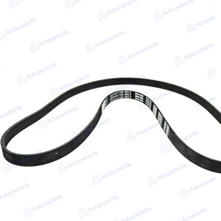 CORREA ACANALADA RENAULT SY / MEGANE (6PK1650)