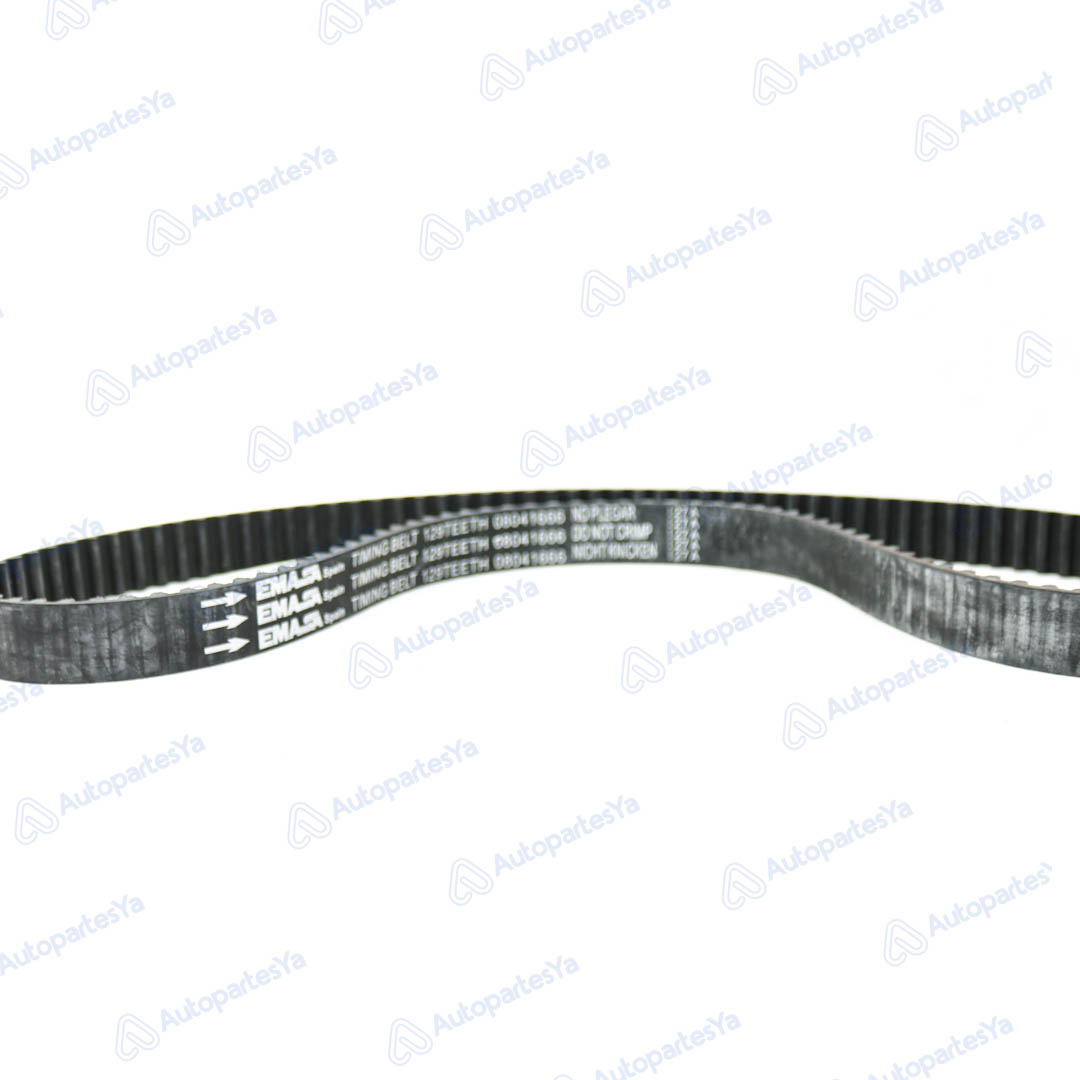 CORREA DISTRIBUCION (129D) FORD FOCUS